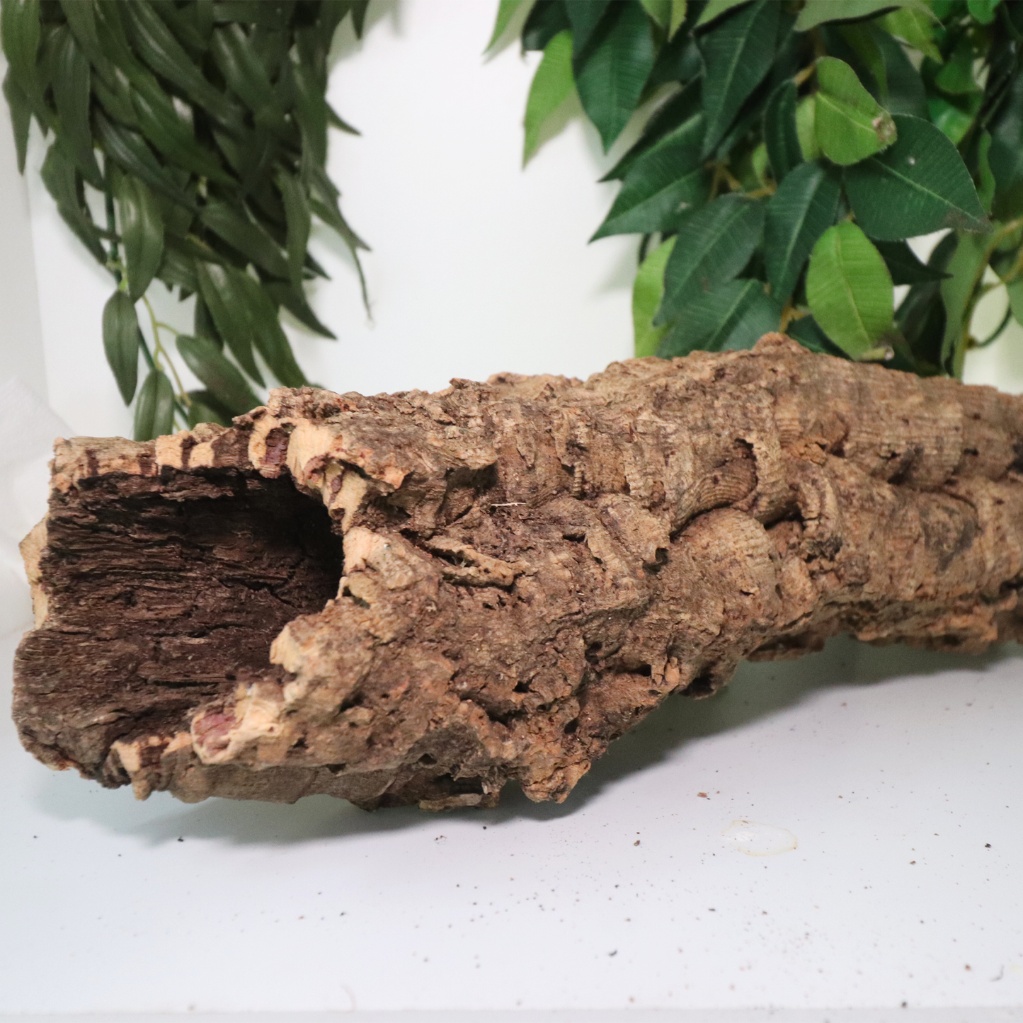 Cork Rounds