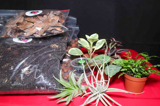 The Bioactive Kit