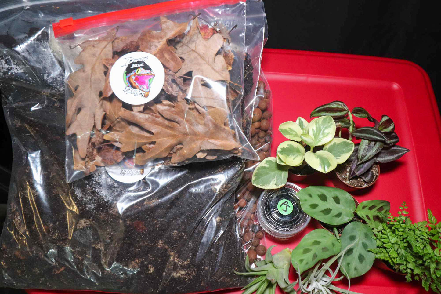 The Bioactive Kit