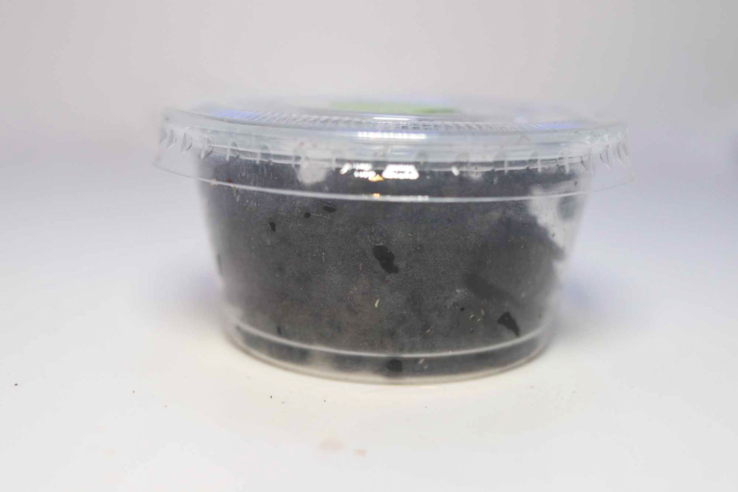 Springtails 100+
