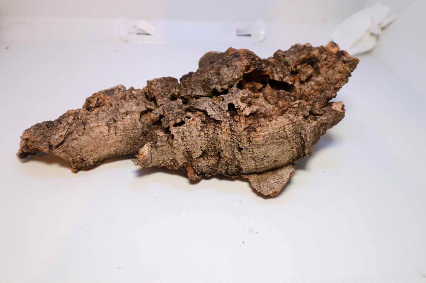 Cork Bark [Cork Flats]