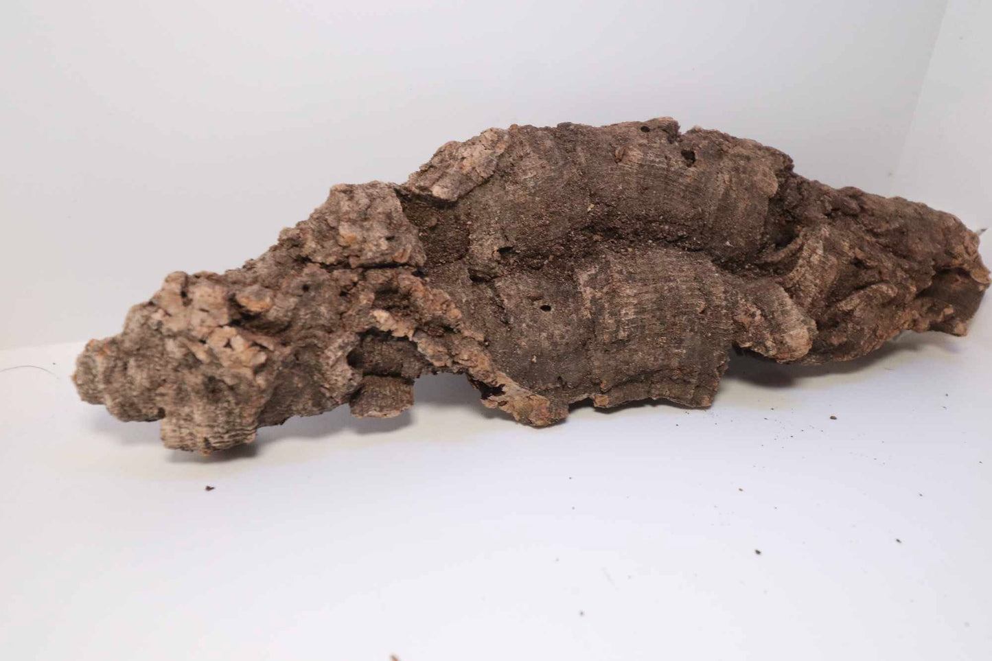 Cork Bark [Cork Flats]