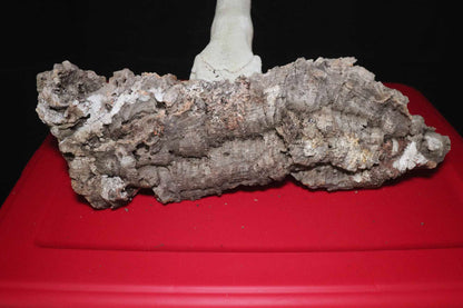 Cork Bark [Cork Flats]