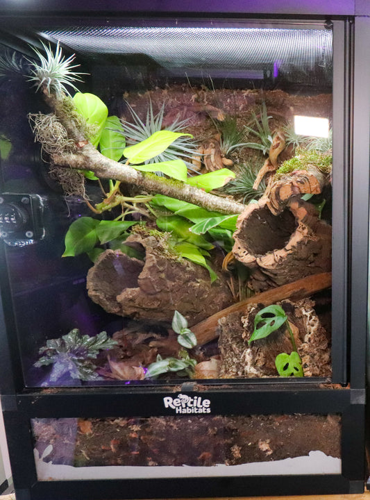 20 gallon [18x18x24] Bioactive Kit