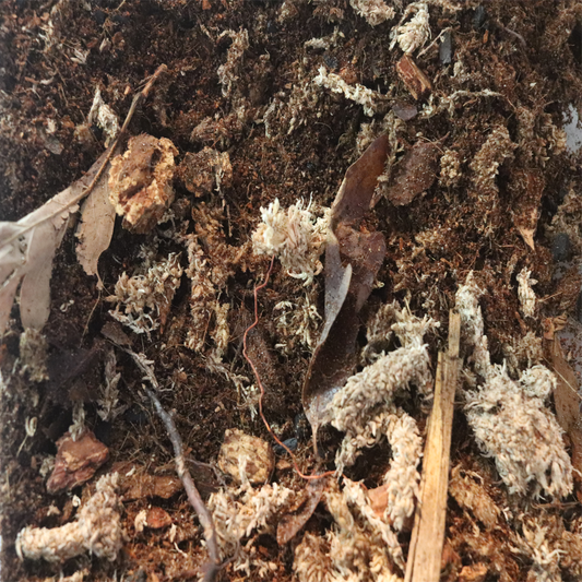 Project Jungle Bioactive Mix  [5 Quart]