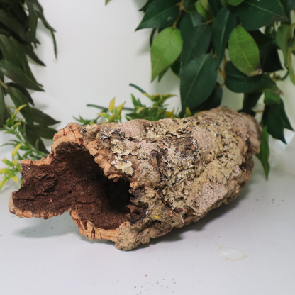 Cork Rounds