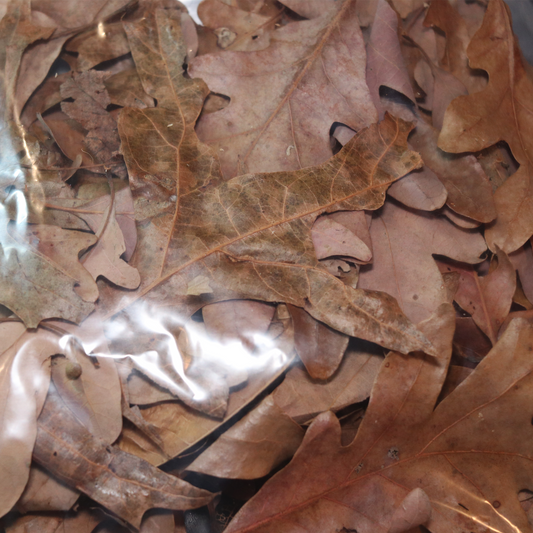 Oak Leaf Litter Mix